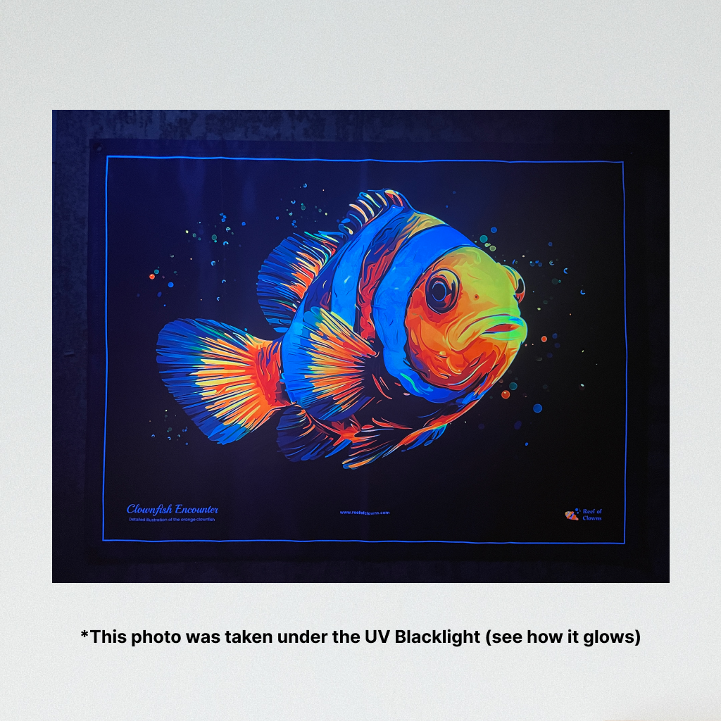 Clownfish Encounter UV Blacklight Tapestry - Reef of Clowns