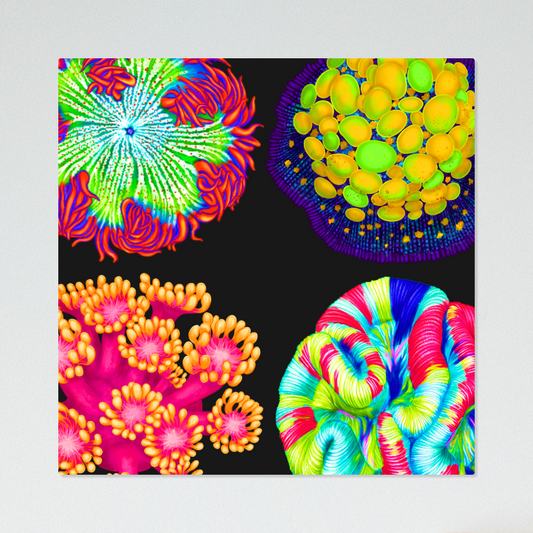 Vibrant Corals (V2) UV Blacklight Tapestry - Reef of Clowns