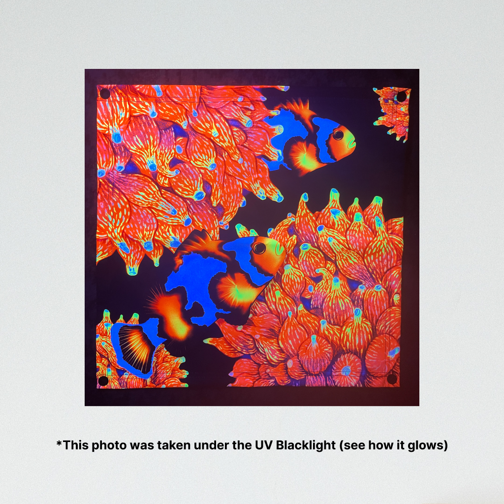 Clownfish and Bubbletip Anemone UV Blacklight Tapestry - Reef of Clowns