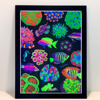 UV Blacklight Fish and Corals Poster (18"x24") - Reef of Clowns LLC