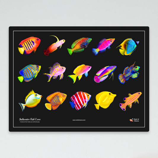 Saltwater Fish Love UV Blacklight Tapestry - Reef of Clowns LLC