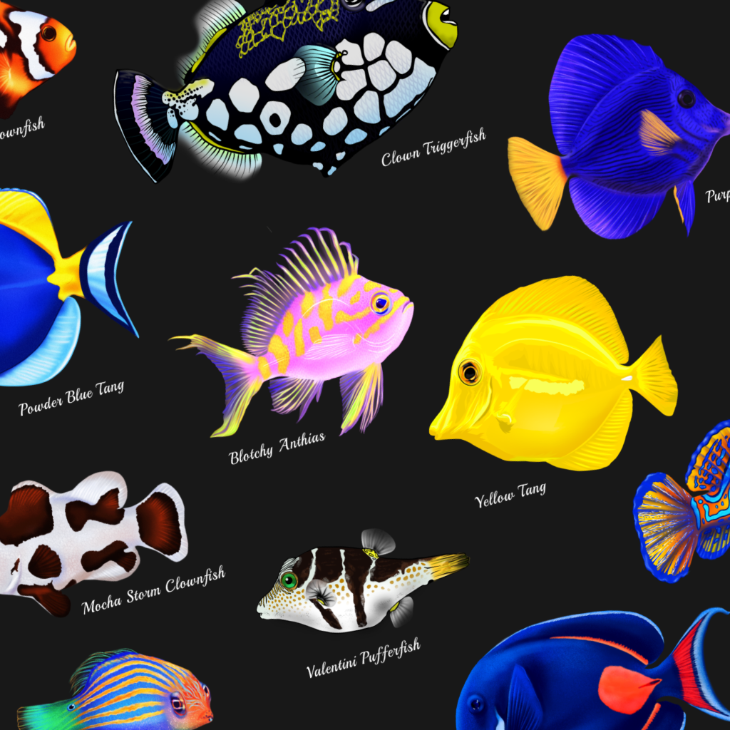 Saltwater Reef Fish Collection w/ Names - Reef of Clowns LLC