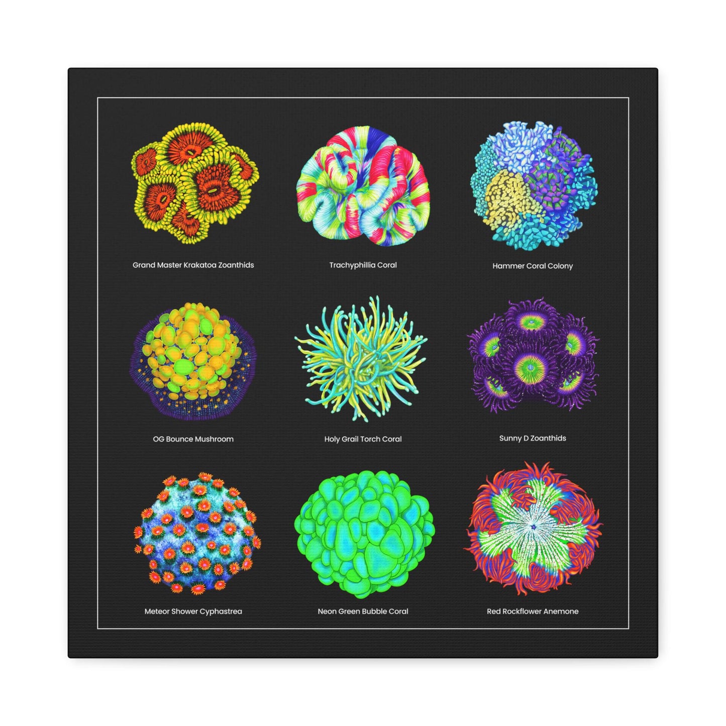 Reef Coral Canvas Wall Art