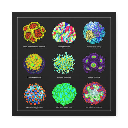 Reef Coral Canvas Wall Art