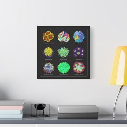 Reef Coral Canvas Wall Art