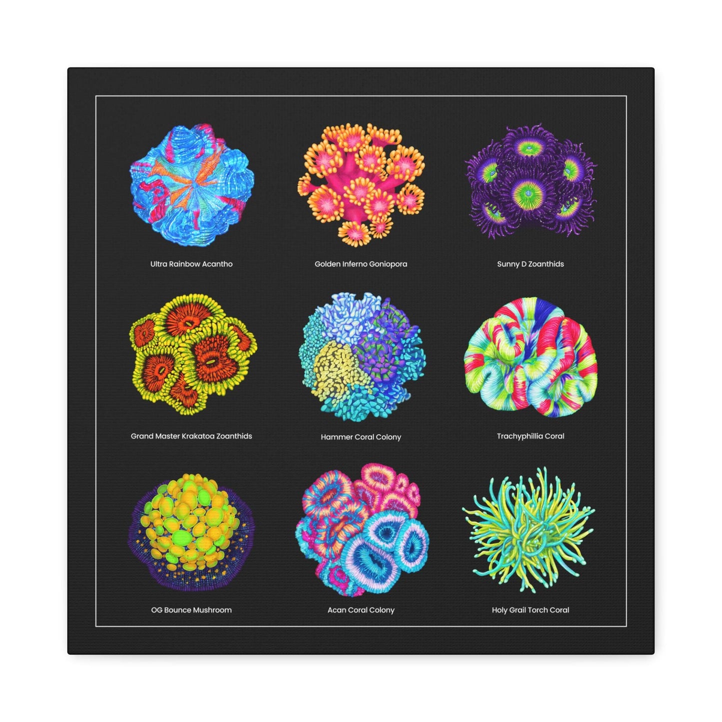 Reef Coral v2 Canvas Wall Art