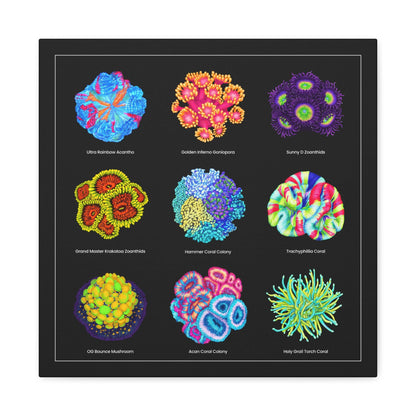 Reef Coral v2 Canvas Wall Art