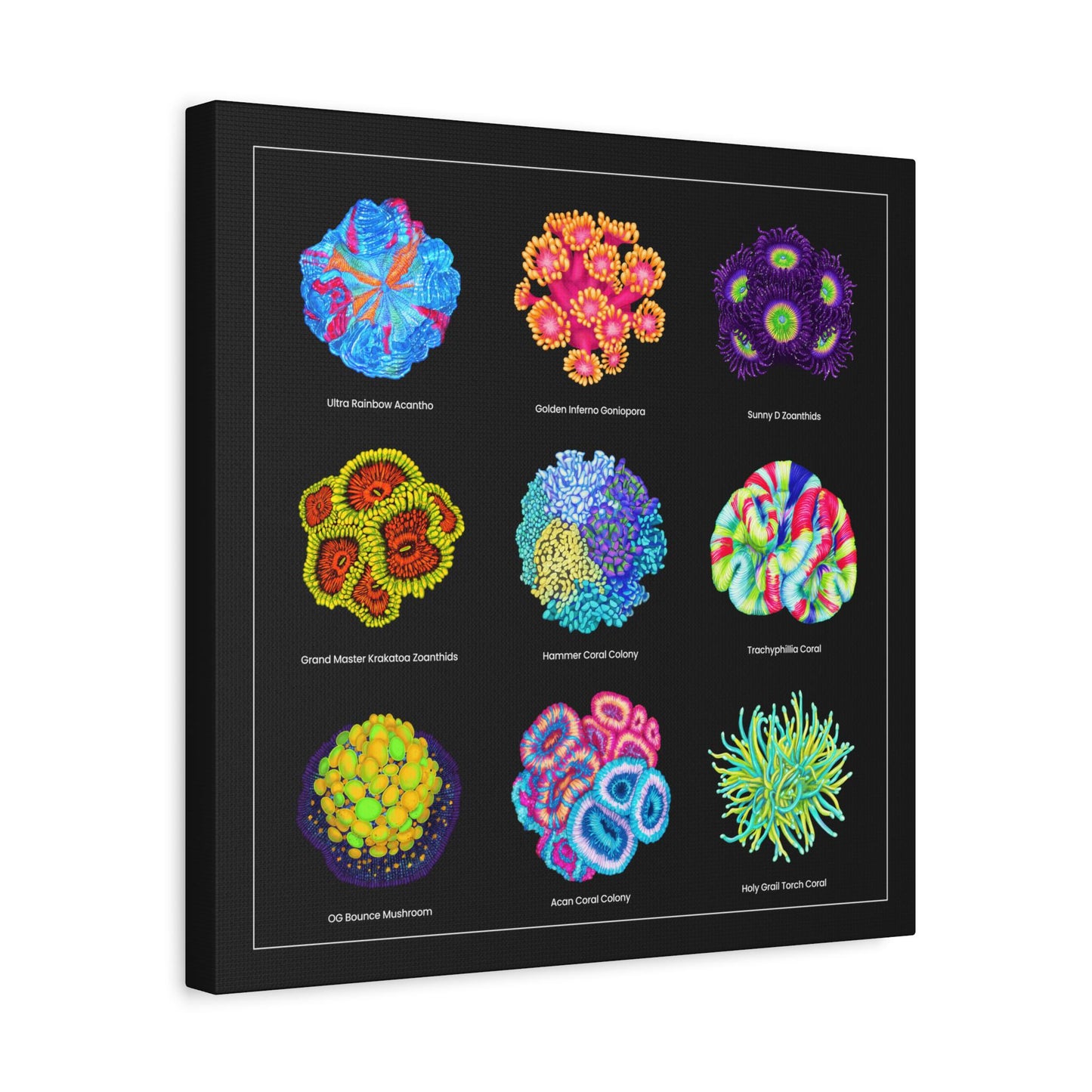 Reef Coral v2 Canvas Wall Art