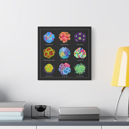 Reef Coral v2 Canvas Wall Art