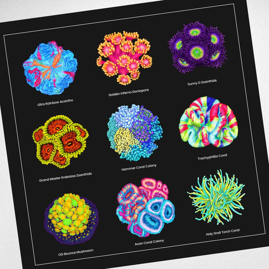 Reef Coral v2 Canvas Wall Art