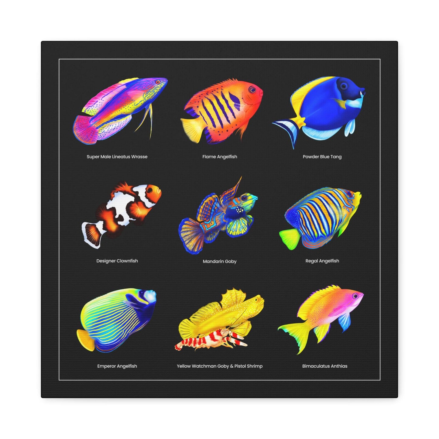 Reef Fish Canvas Wall Art