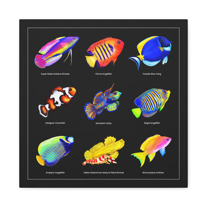 Reef Fish Canvas Wall Art
