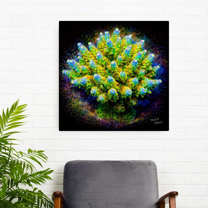 Homewrecker Acropora Coral