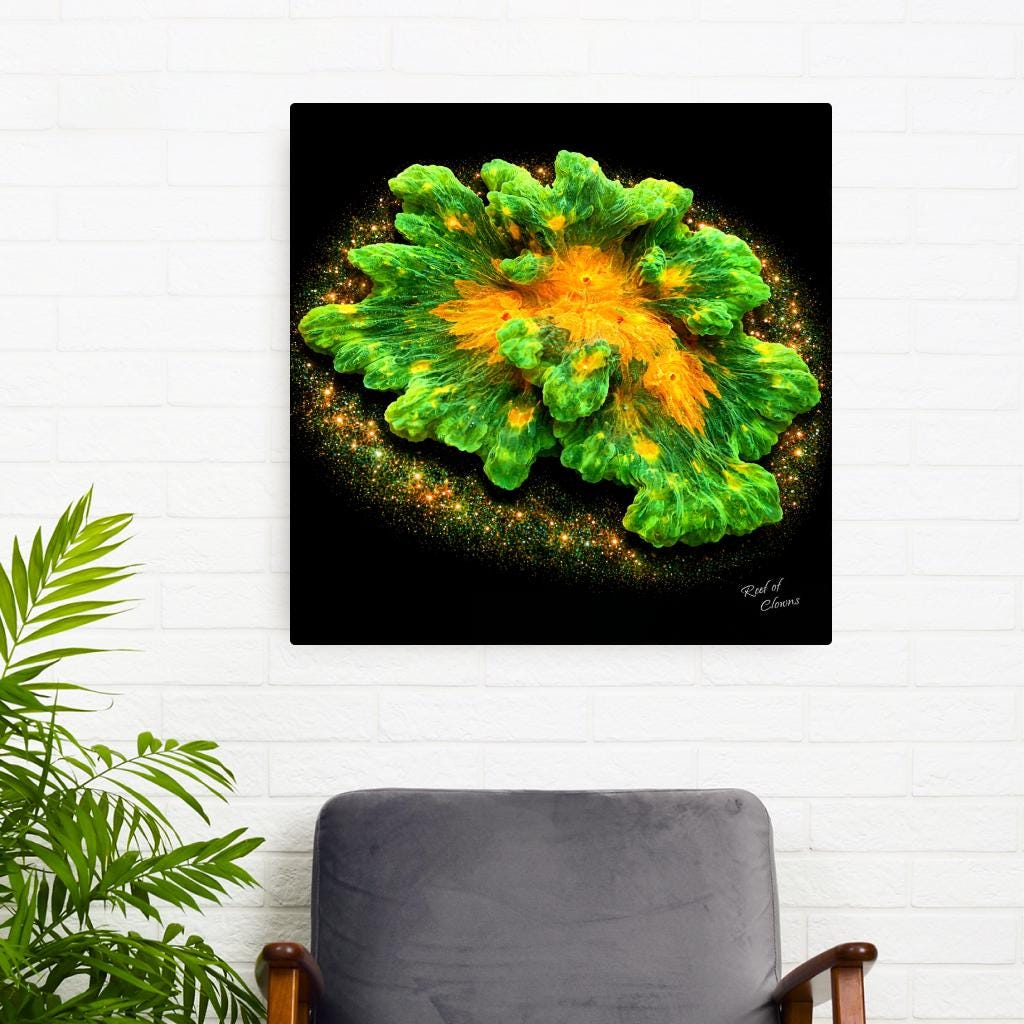 Space Invader Pectinia Coral