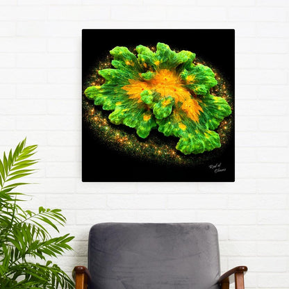 Space Invader Pectinia Coral