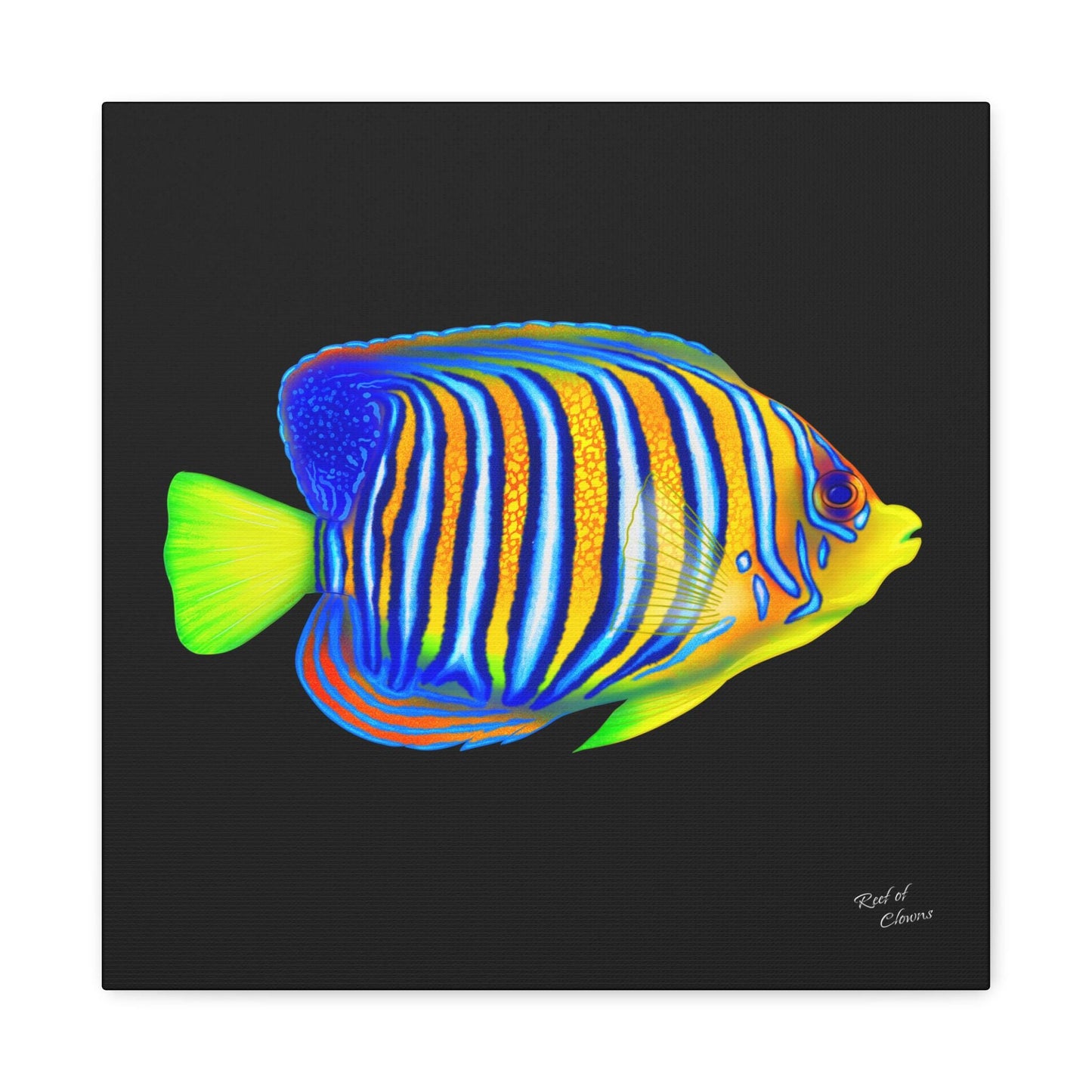 Regal Angelfish Canvas Wall Art