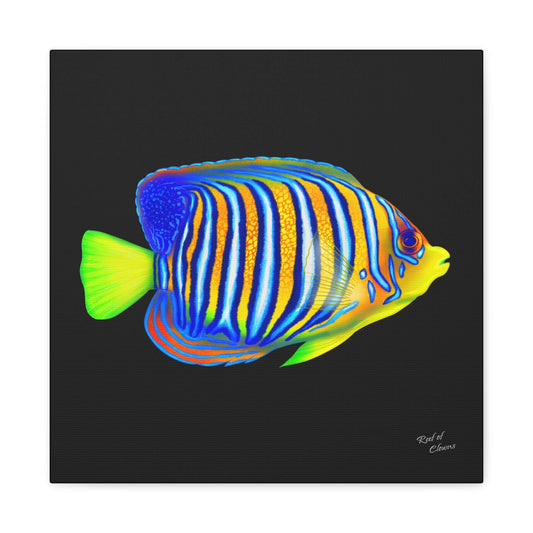Regal Angelfish Canvas Wall Art