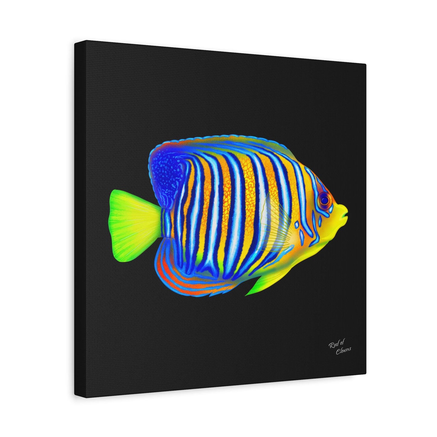 Regal Angelfish Canvas Wall Art