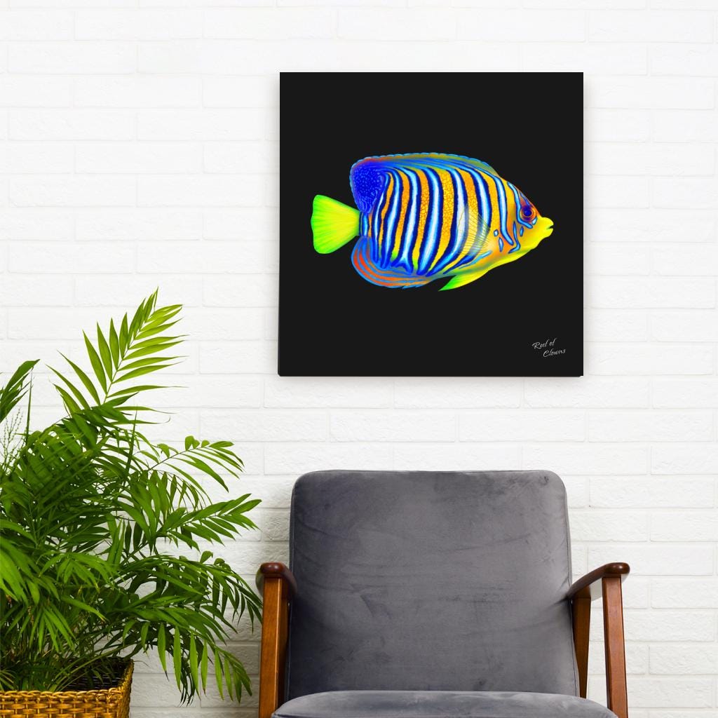 Regal Angelfish Canvas Wall Art