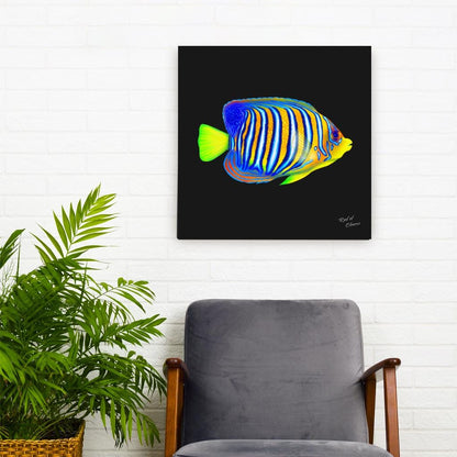 Regal Angelfish Canvas Wall Art