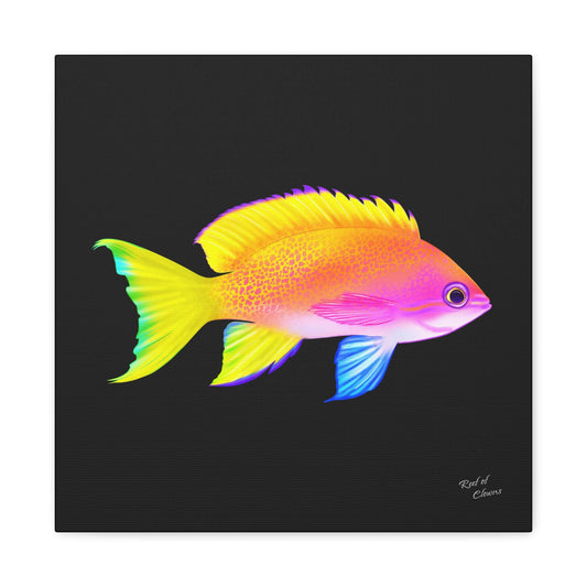 Anthias Canvas Wall Art