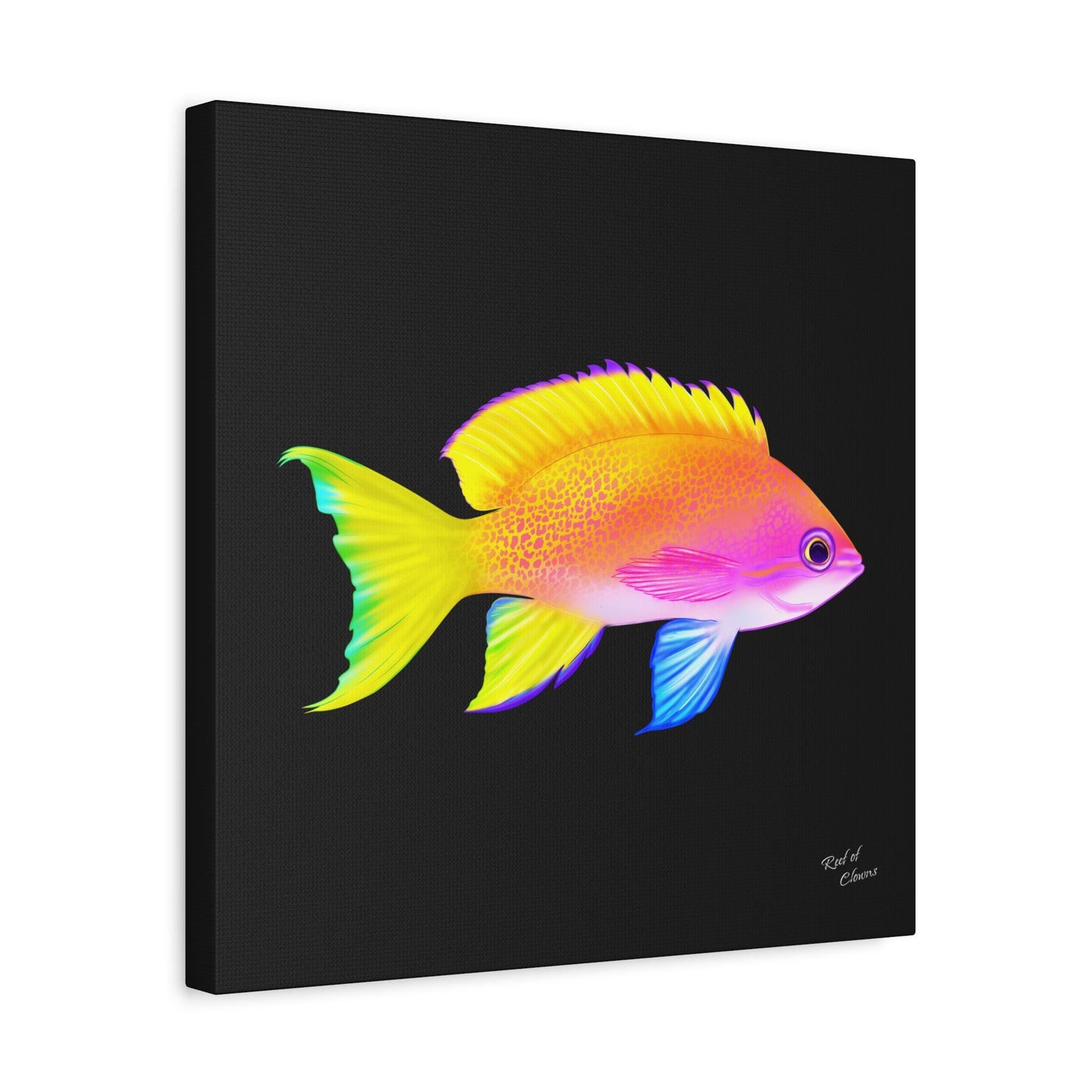 Anthias Canvas Wall Art