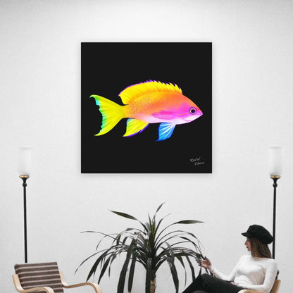 Anthias Canvas Wall Art