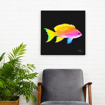 Anthias Canvas Wall Art