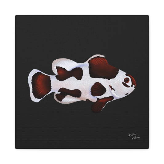 Mocha Storm Clownfish Canvas Wall Art