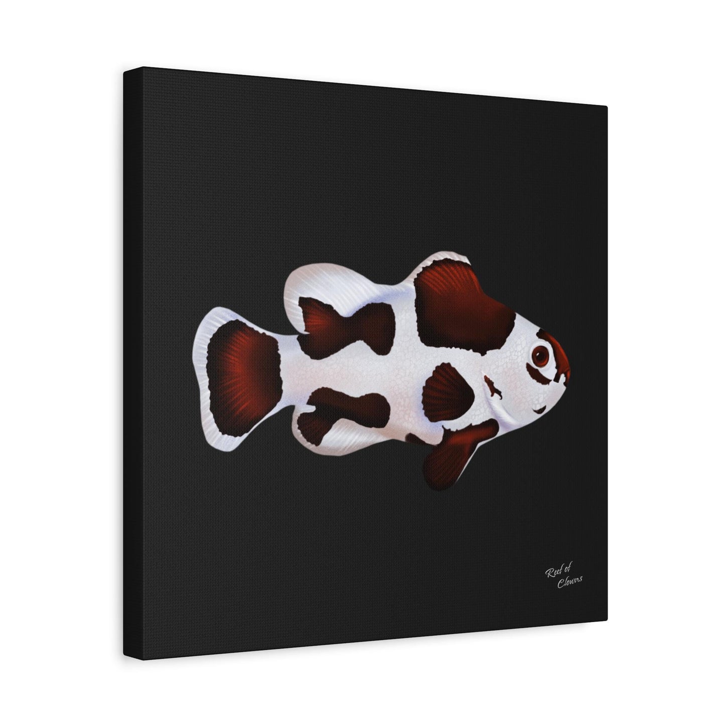 Mocha Storm Clownfish Canvas Wall Art