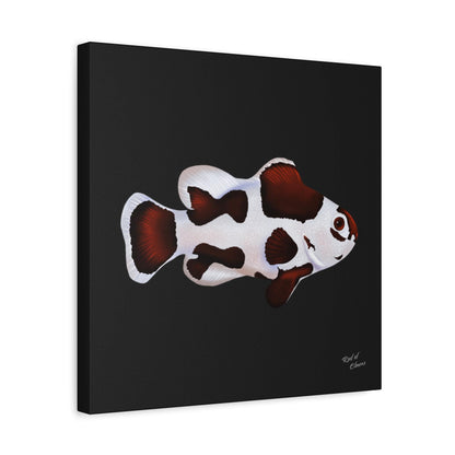 Mocha Storm Clownfish Canvas Wall Art