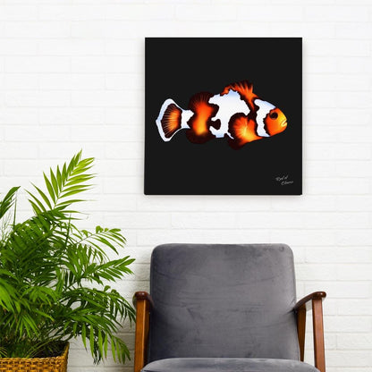 Designer Clownfish Canvas Wall Art