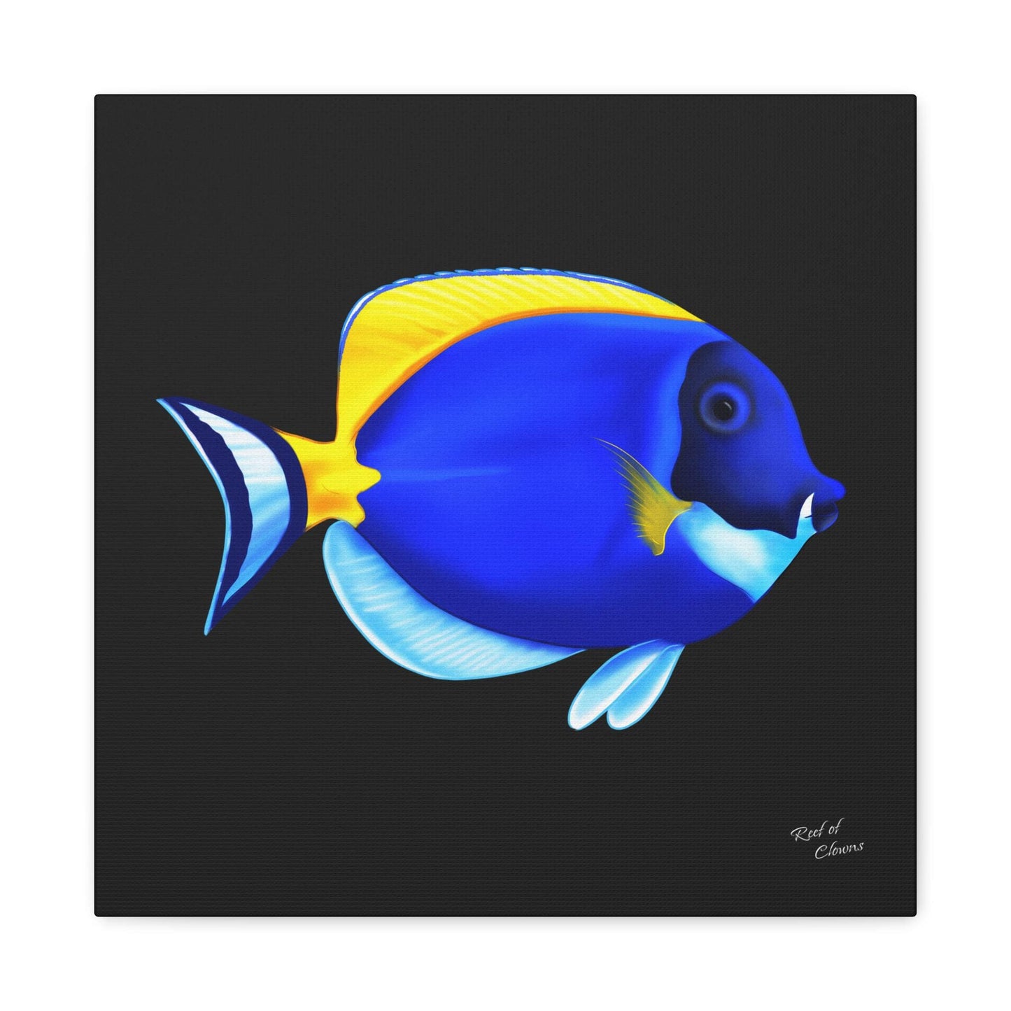 Powder Blue Tang Canvas Wall Art