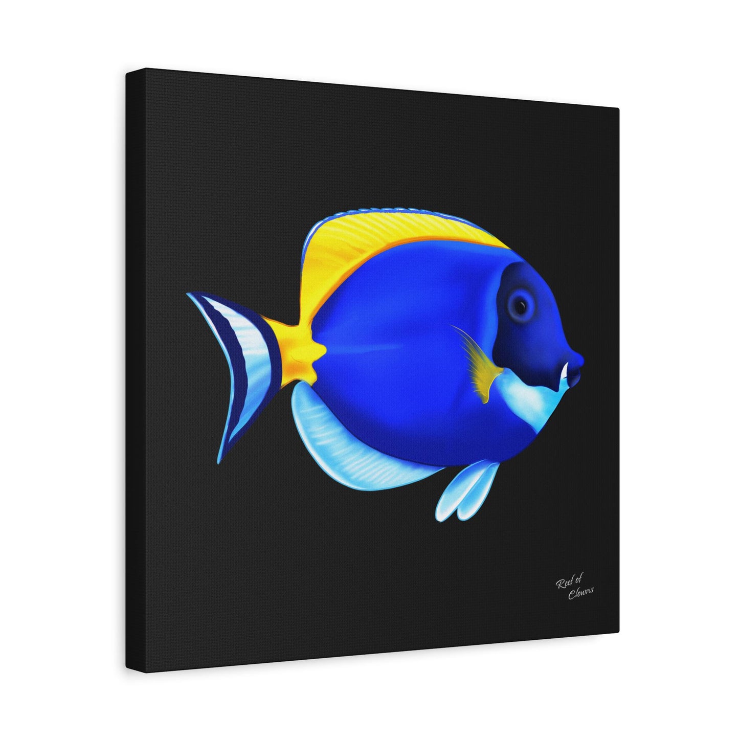 Powder Blue Tang Canvas Wall Art