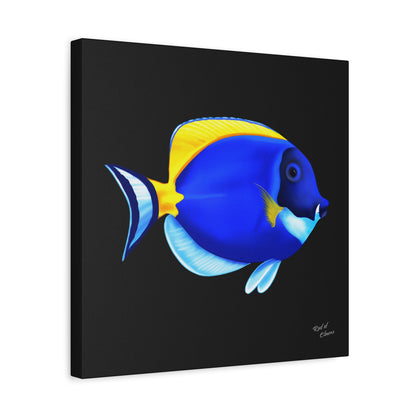 Powder Blue Tang Canvas Wall Art
