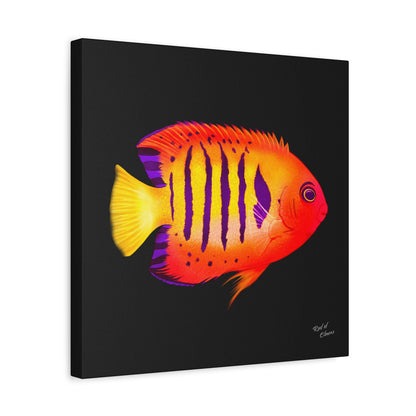 Flame Angelfish Canvas Wall Art