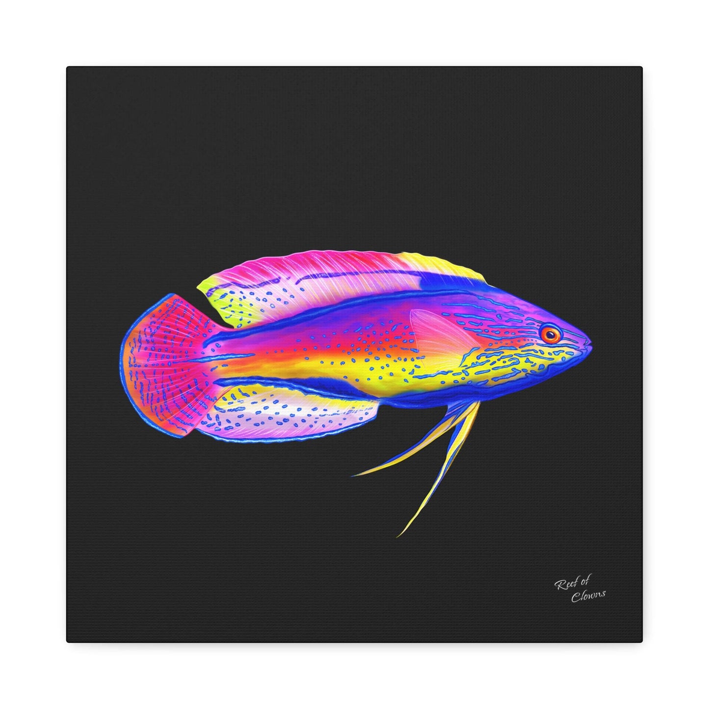 Super Male Lineatus Wrasse Canvas Wall Art