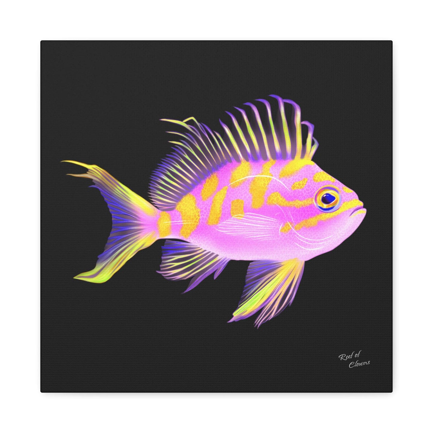 Borbonius Blotched Anthias Canvas Wall Art