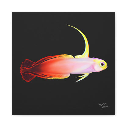 Firefish Canvas Wall Art