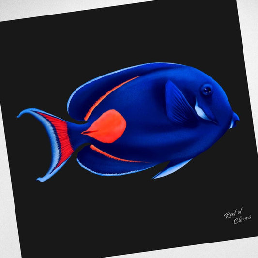 Achilles Tang Canvas Wall Art