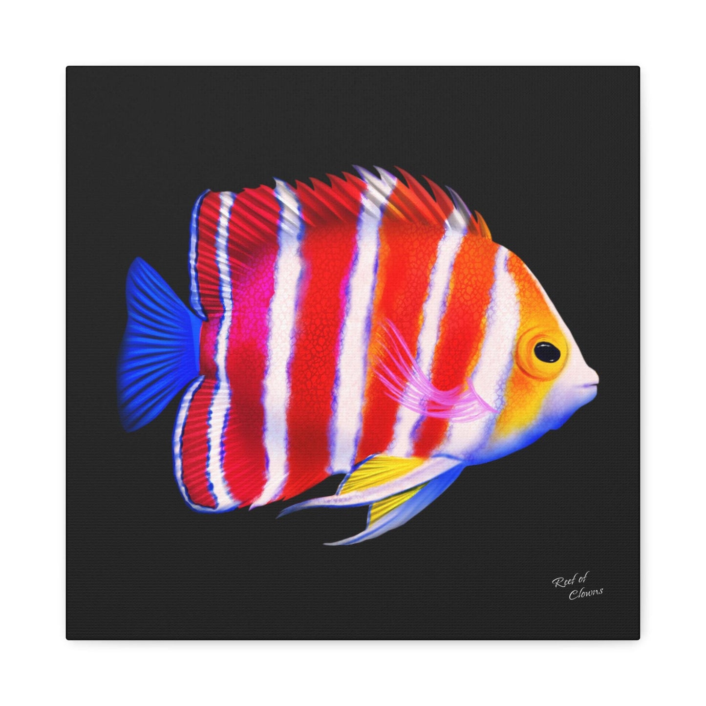 Peppermint Angelfish Canvas Wall Art