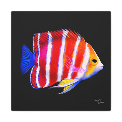 Peppermint Angelfish Canvas Wall Art