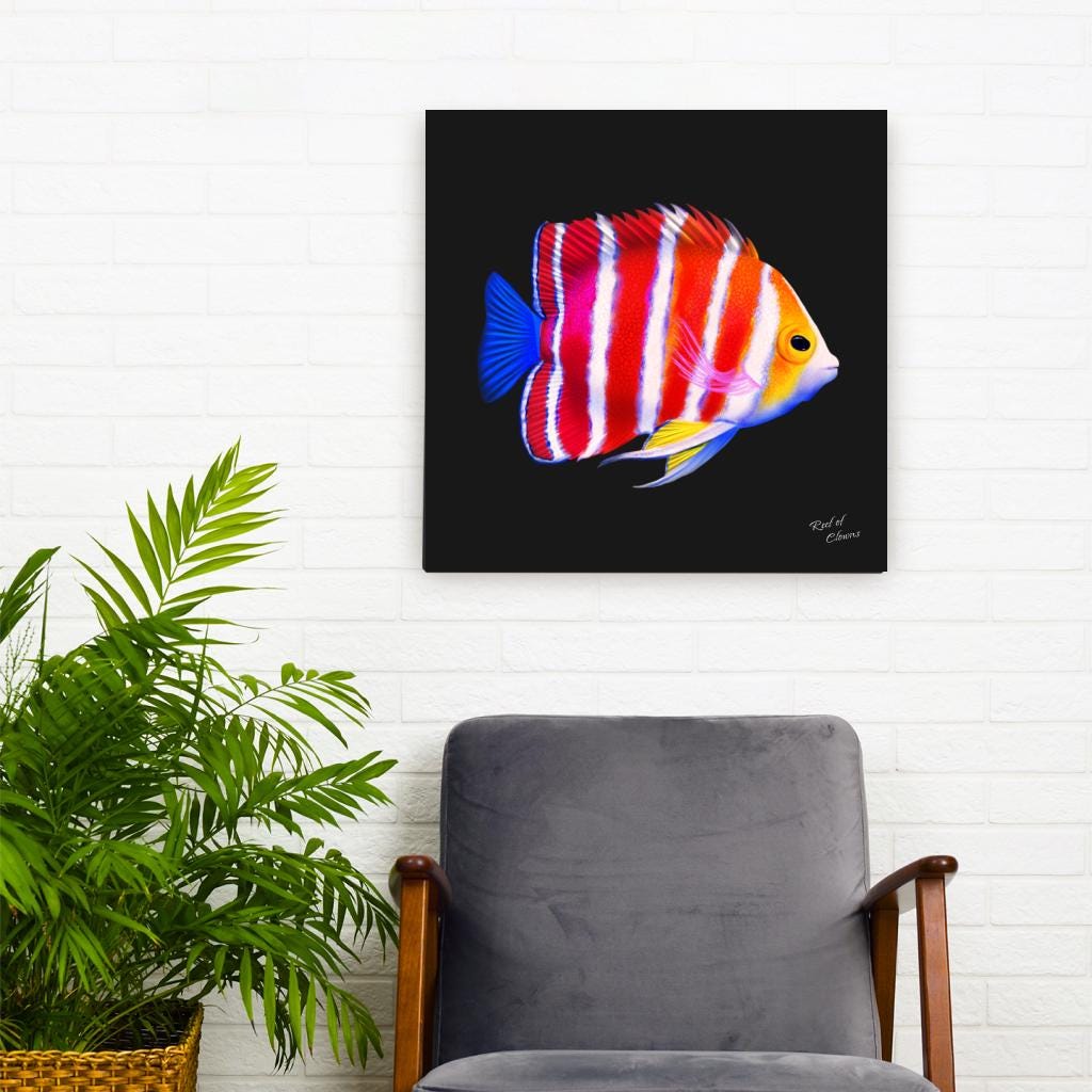 Peppermint Angelfish Canvas Wall Art