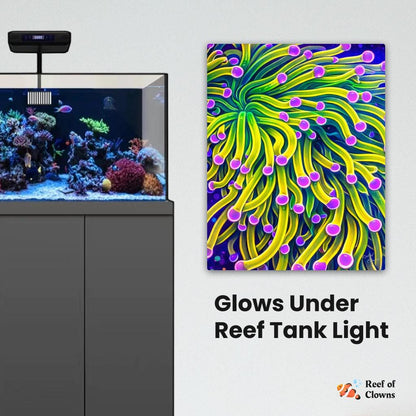 Holy Grail Torch Coral
