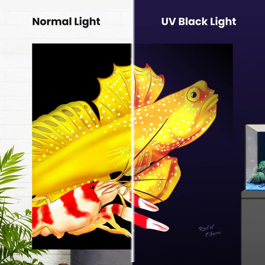 Watchman Goby and Pistol Shrimp