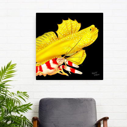 Watchman Goby and Pistol Shrimp