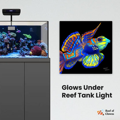 Mandarin Goby