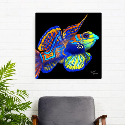 Mandarin Goby