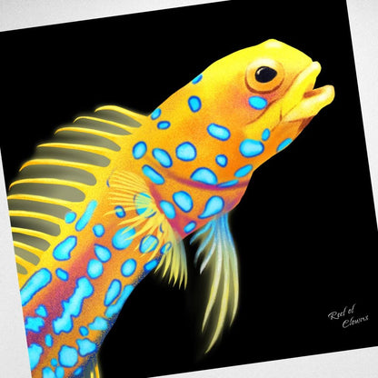 Blue Dotted Jawfish