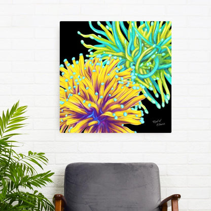 Torch Coral Garden
